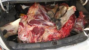 A carne dos animais roubados pode estar sendo comercializada na região. Imagem / divulgação