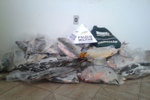 Pescado foi encontrado nos fundos de uma oficina mecânica no bairro Roosevelt (Foto: Polícia Ambiental/MG)