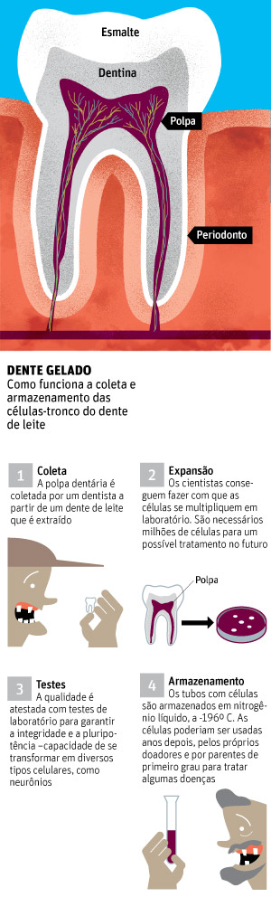 Editoria de Arte/Folhapress