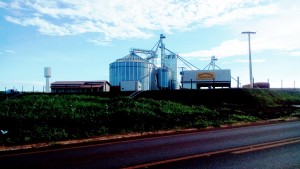 Safra agrícola sem problemas com armazenagem em Capinópolis 