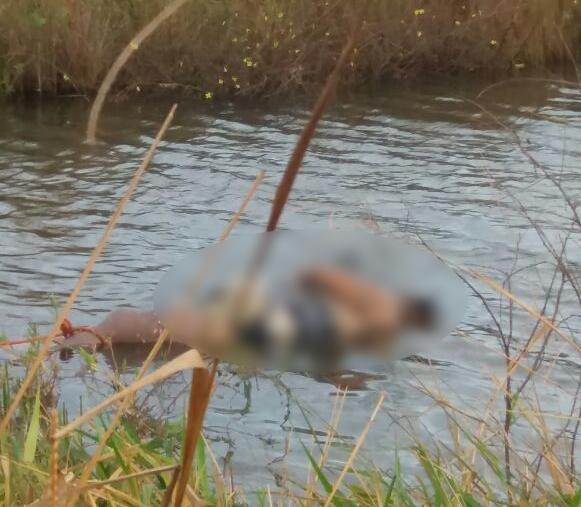 Mulher encontrada em represa com pés amarrados estava grávida e foi assassinada