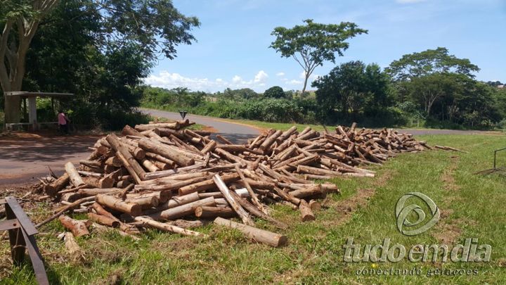  Caminhão carregado com madeira tomba no trevo de acesso à Capinópolis