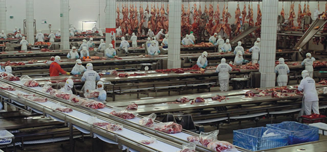 Exportação de car­nes bra­si­lei­ras cai de R$63 milhões para R$74 mil por dia e frigoríficos demitem
