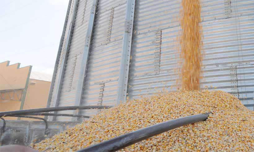 Força-tarefa combate sonegação de impostos de R$ 250 milhões da venda de grãos em Minas Gerais