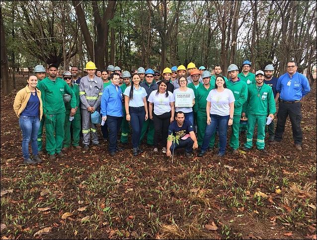 Colaboradores da CRV Industrial planta árvore no bosque da usina durante ação ambiental em Capinópolis