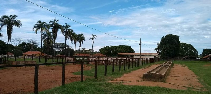 Segundo a PMA, atividade tem grande potencial poluidor e falta de licenciamento ambiental é crime (Foto: PMA/Divulgação)