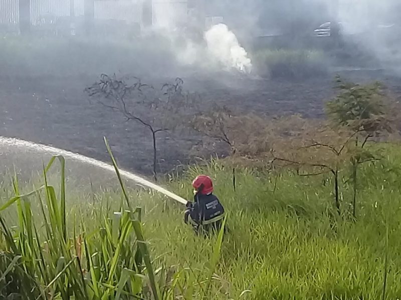 Bombeiros evitam incêndio em Área de Preservação Permanente em Ituiutaba