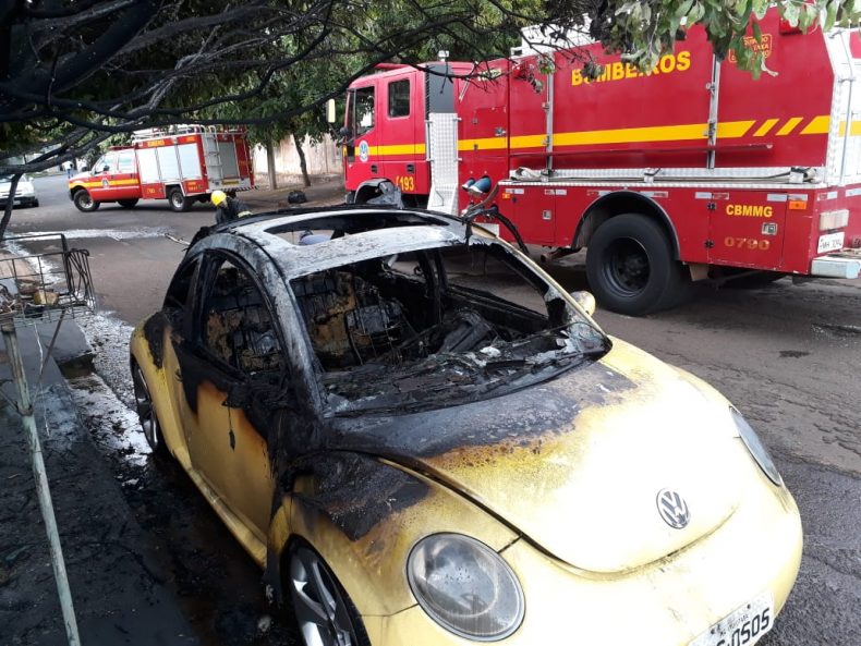 Veículo ficou destruído pelas chamas (Foto: Bombeiros/Divulgação)