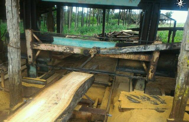 Serraria em Capinópolis é autuada por armazenar e beneficiar madeira nativa sem licença ambiental