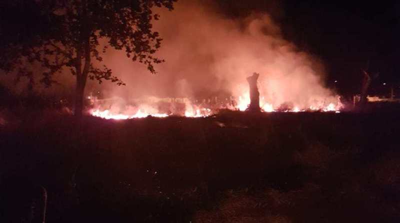 Incêndio foi combatido pelos Bombeiros de Ituiutaba (Foto: Bombeiros/Divulgação)