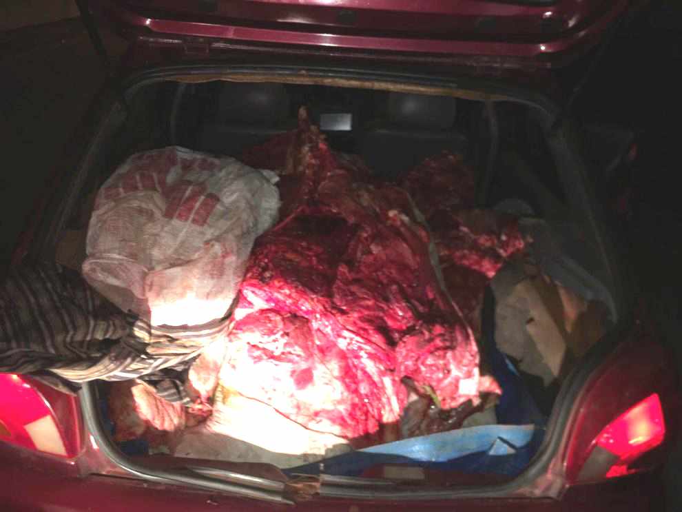Carne bovina foi encontrada na porta-malas do carro
