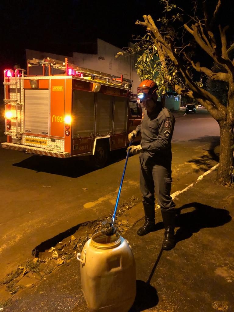 Bombeiro capturou animal (Foto: Bombeiros/Divulgação)