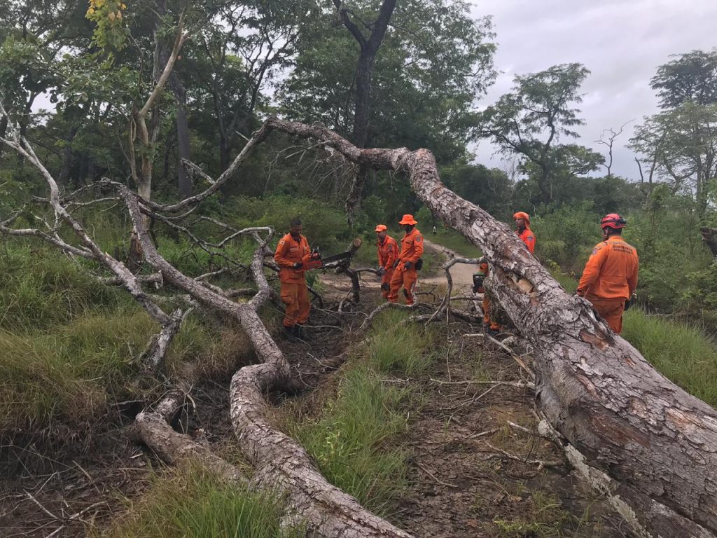 Bombeiros de Minas Gerais, que atuaram na tragédia de Brumadinho, auxiliam vítimas em Moçambique (Foto: Bombeiros em Moçambique/Divulgação)