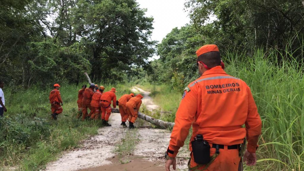 Bombeiros de Minas Gerais, que atuaram na tragédia de Brumadinho, auxiliam vítimas em Moçambique (Foto: Bombeiros em Moçambique/Divulgação)