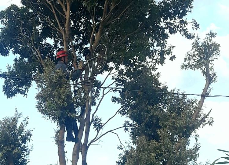 Bicicleta vai parar em copa de árvore e é recuperada pelos Bombeiros em Ituiutaba