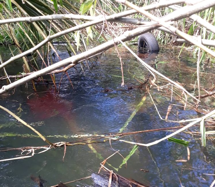 Carro ficou capotado e submerso em um lago próximo à Santa Vitória (Foto: Divulgação Bombeiros)