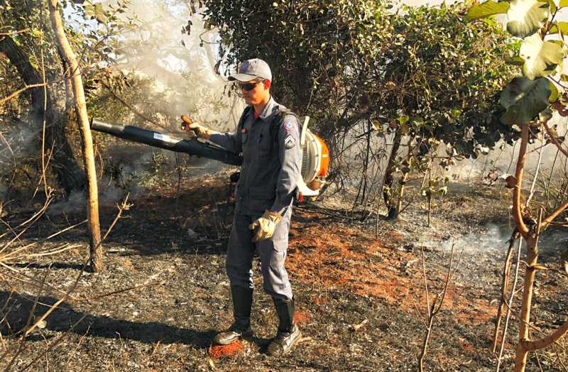 Bombeiros combatem incêndio em vegetação em Ituiutaba