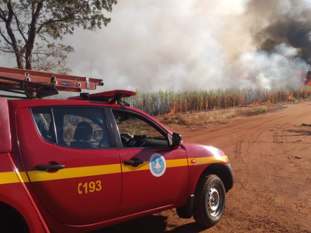 (Foto: Bombeiros/Divulgação)