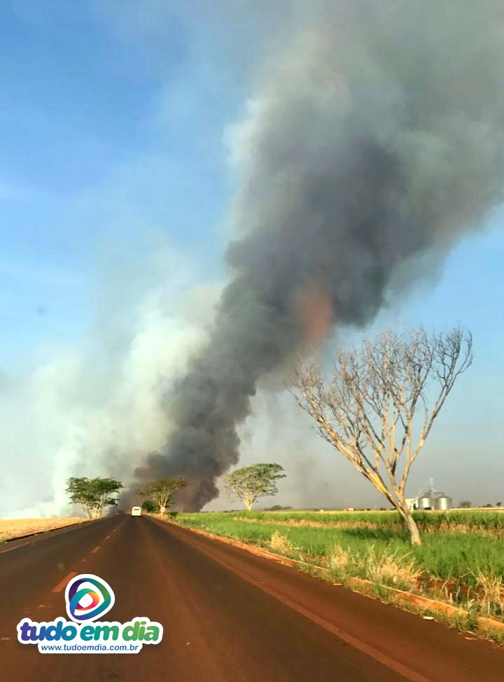 Foto atinge reserva ambiental e canavial na zona rural de Capinópolis (Foto: Iana Balduíno)