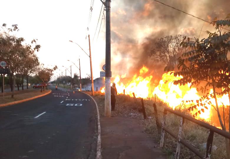 (Foto: Bombeiros/Divulgação)