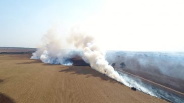 Incêndio atingiu várias propriedades rurais (Imagens: PMA/Divulgação)