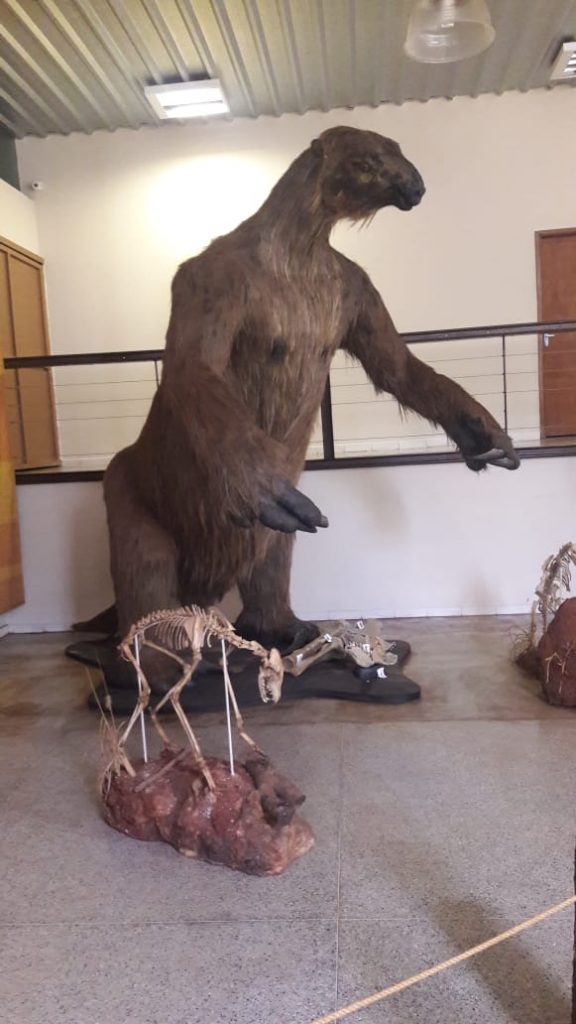 Preguiça gigante que habitava a região foi extinta há milhões de anos (Foto: Escola Governador Juscelino)