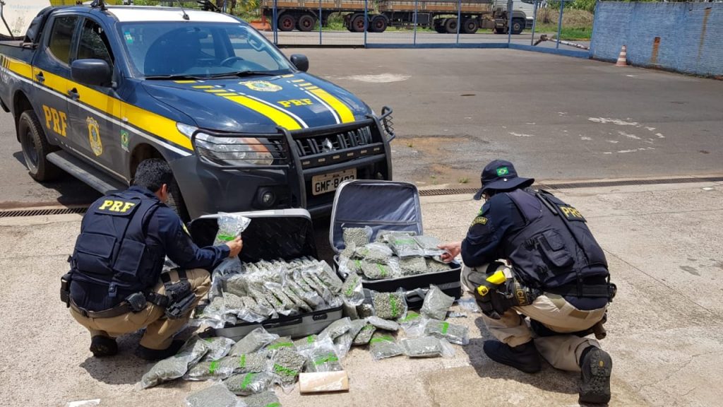 Maconha foi apreendida pela PRF (Foto: Divulgação/PRF-MG)