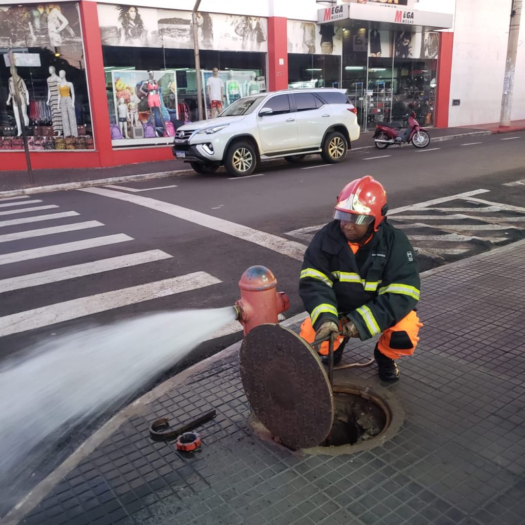 (Foto: Bombeiros/Divulgação)