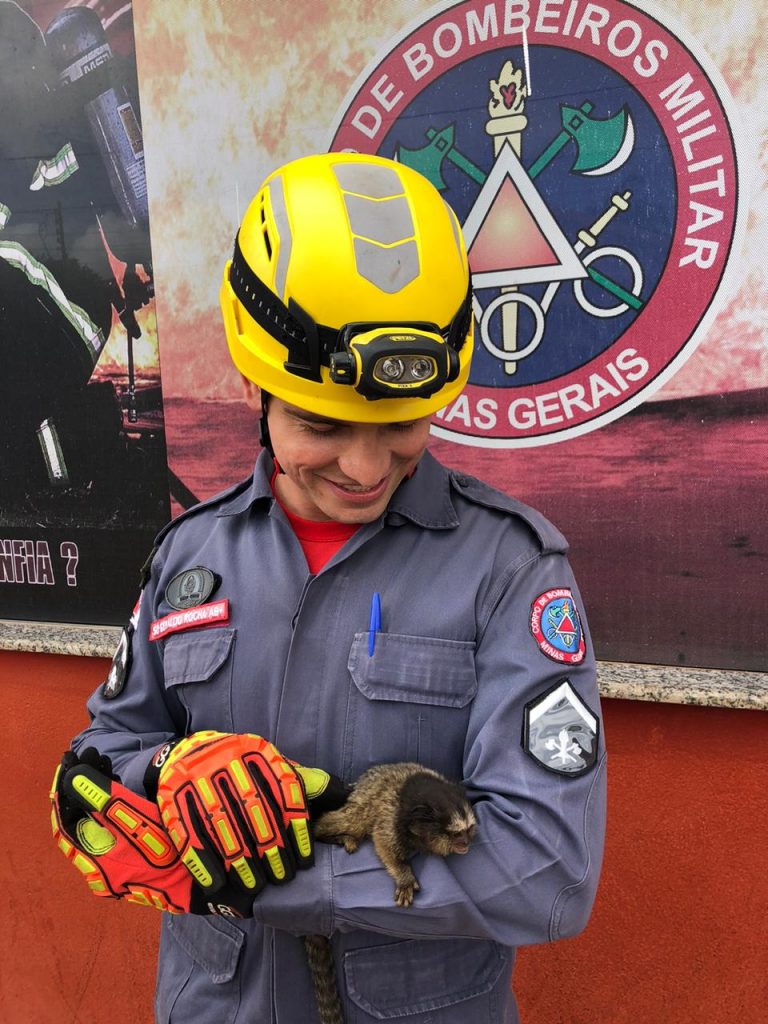 (Foto: Bombeiros/Divulgação)