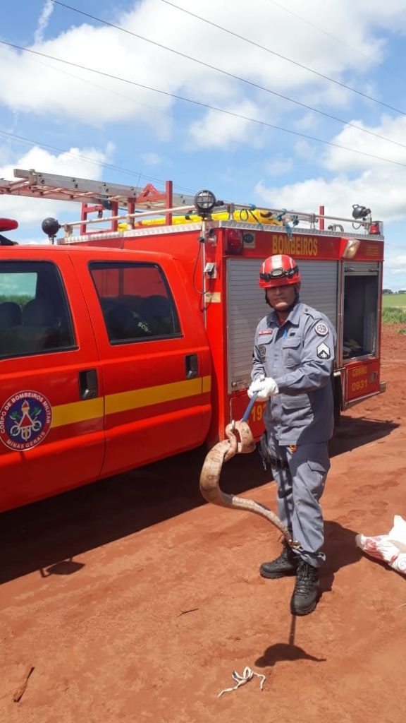 Foto: Bombeiros / Divulgação)