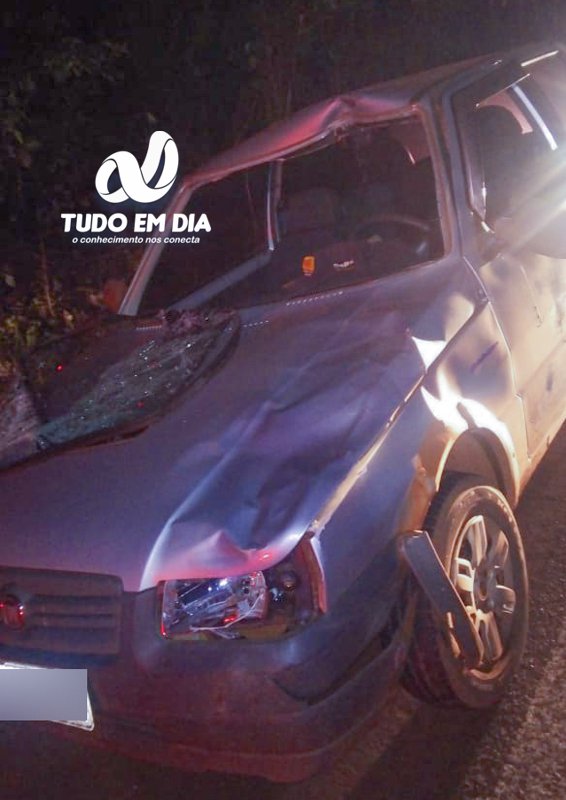 Cavalo na pista causa acidente na MG-226 entre Capinópolis e Ipiaçu