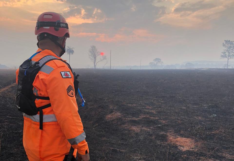 Bombeiro do 2º Pelotão observa a desvastação causada pelo fogo | Foto: Bombeiros