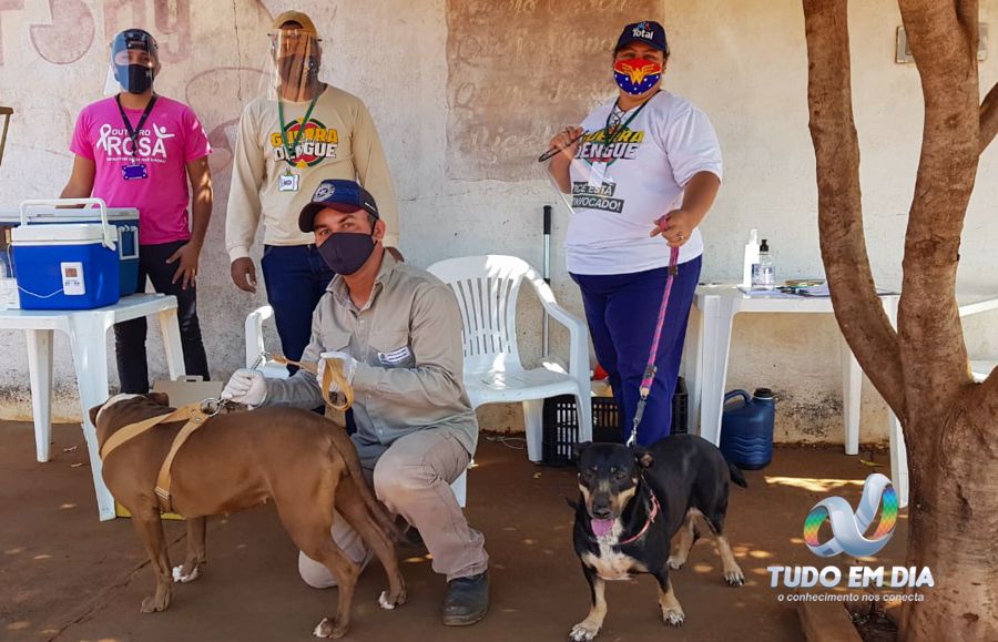 Campanha de vacinação já vacionou cerca de 1200 animais em Capinópolis até a tarde deste domingo (06.set) | Foto: Miguel Antônio