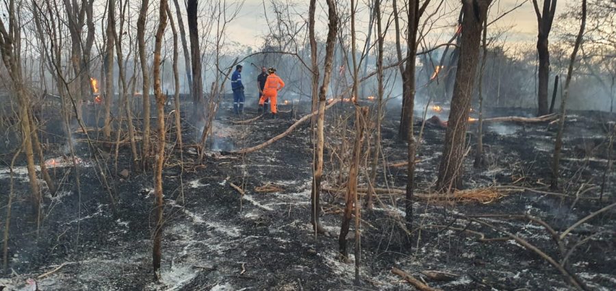 Bombeiros fazem contenção de incêndio em área de vegetação entre Santa Vitória e São Simão