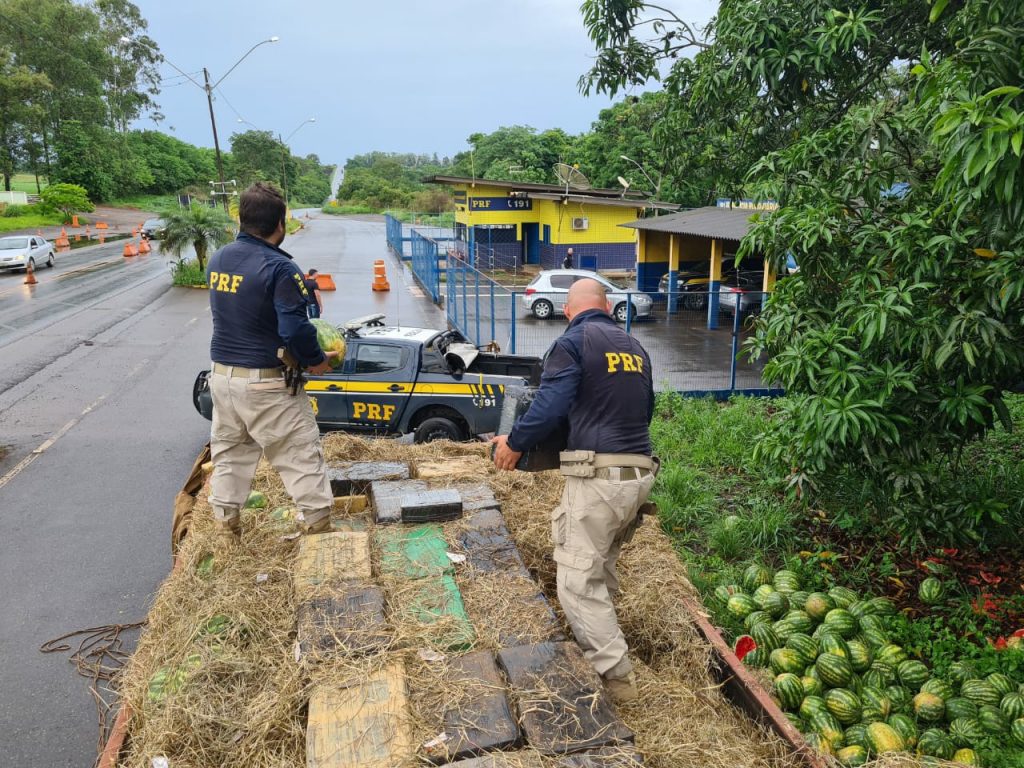 Agentes tiveram que retirar as melancias para chegar às drogas em Patos de Minas — Foto: Polícia Rodoviária Federal/Divulgação