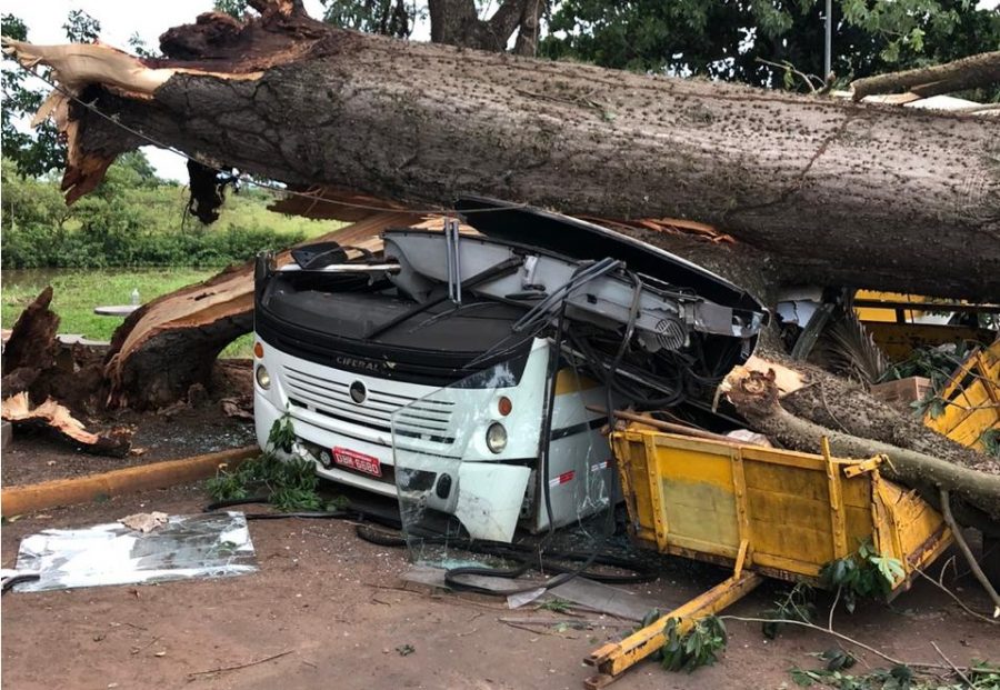 Chuva e ventos fortes causam estragos na região do Pontal