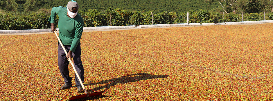 Fazenda Samambaia / Divulgação