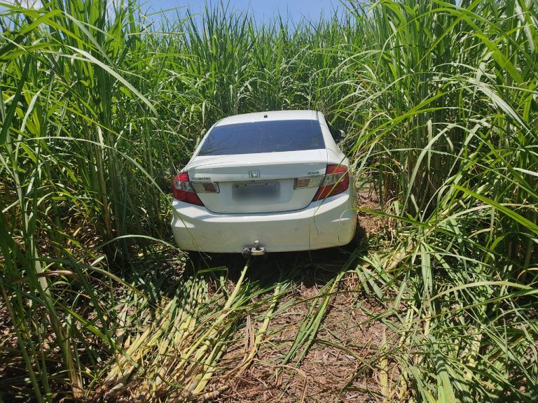 Veículo foi abandonado em meio a um canavial | Foto: Reprodução