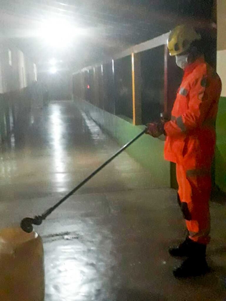 Serpente foi libertada em local apropriado | Foto: Bombeiros