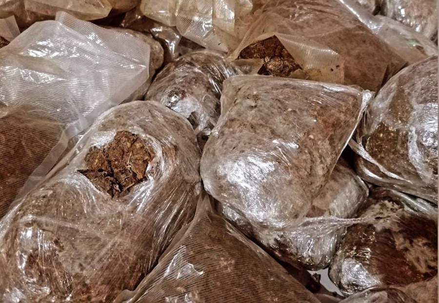 Jovem é preso com cerca de 40 kg de ‘skank’em hotel de Uberlândia