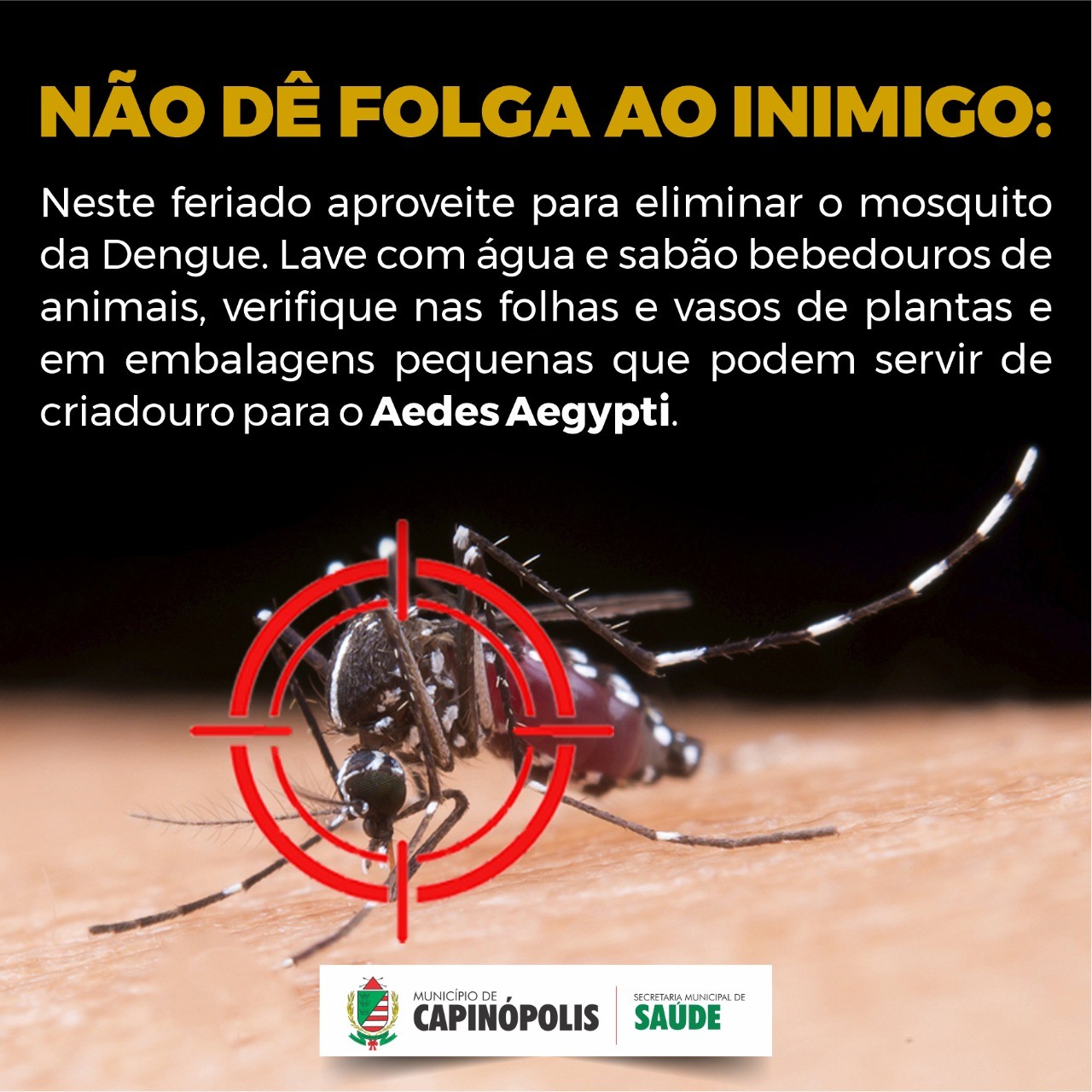 Capinópolis: No feriado, não dê folga ao mosquito da dengue