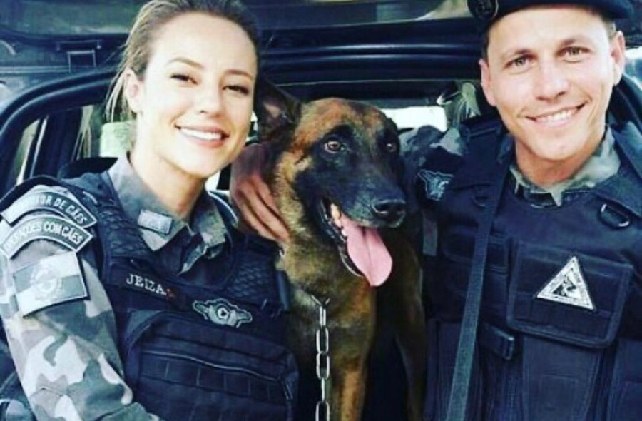 Morre de câncer cão policial que participou da novela ‘A Força do Querer’