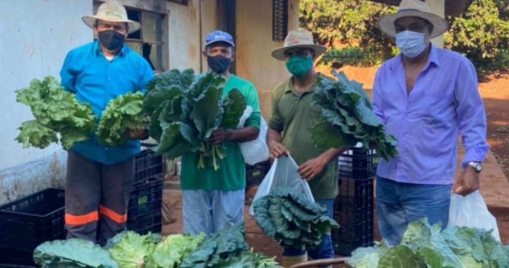 Distribuição de cestas de verduras foi retomada | Foto: Divulgação