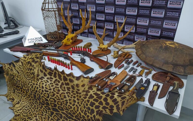 Armas de fogo, armas brancas e carcaças de animais foram apreendidos | Foto: PMMA