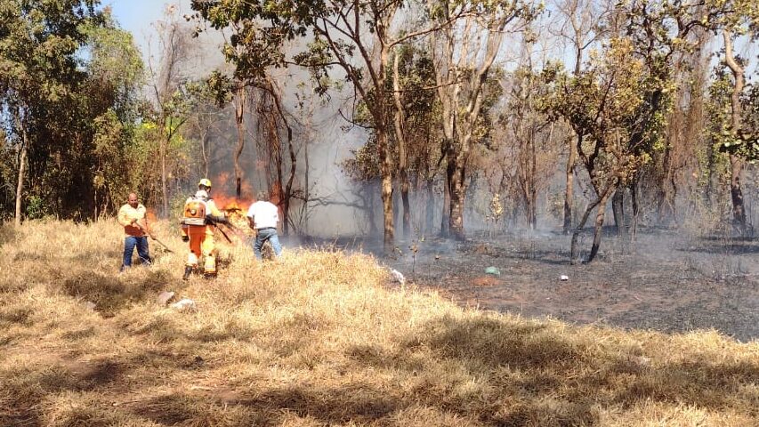 Equipe atuando na contenção das chamas | Foto: Bombeiros/divulgação