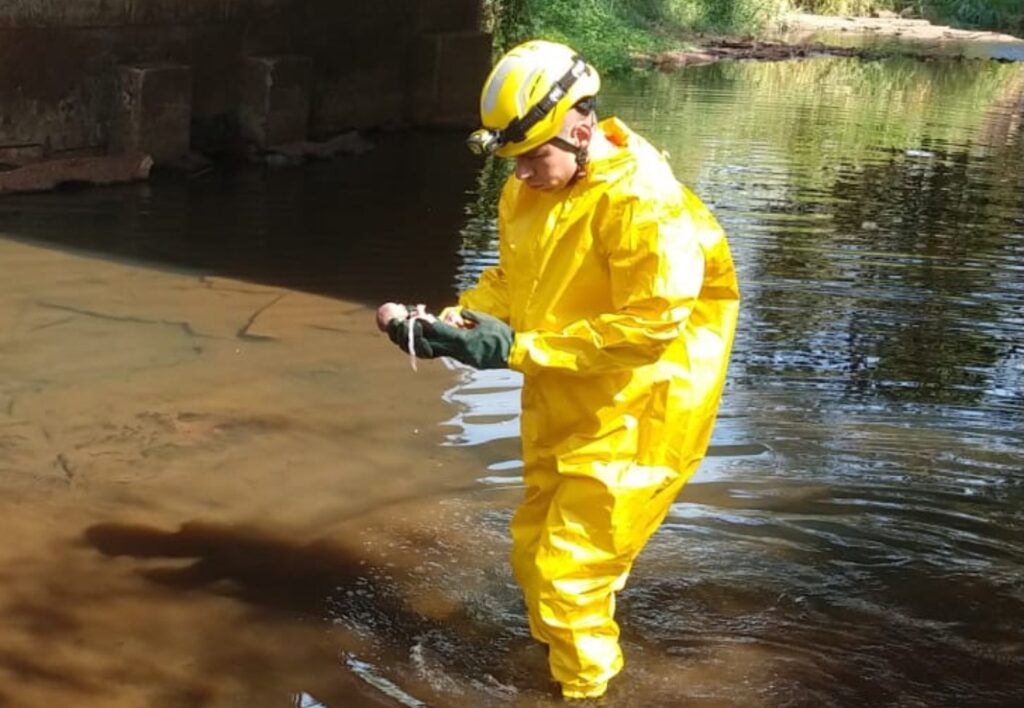 Bombeiro resgata o feto no Córrego São José | Foto: Bombeiros