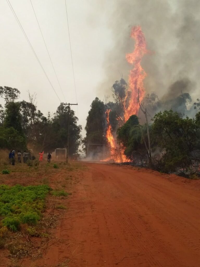 Incêndio destruiu grande área de vegetação | Foto: Bombeiros/Divulgação