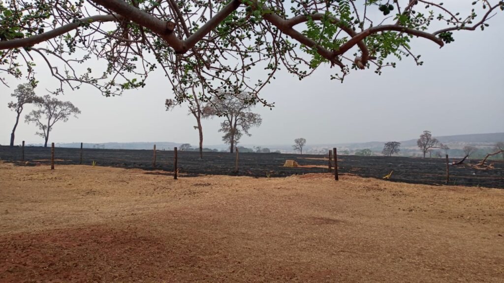 Incêndio florestal destruiu grande área de vegetação | Foto: Bombeiros/Divulgação