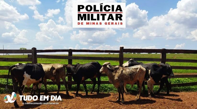 Animais foram furtados em uma propriedade rural no município de Ituiutaba