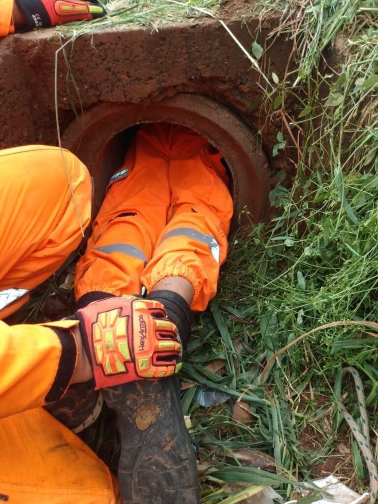 Bombeiro entrou na manilha para resgatar os animais | Foto: Bombeiros da 2ª Companhia